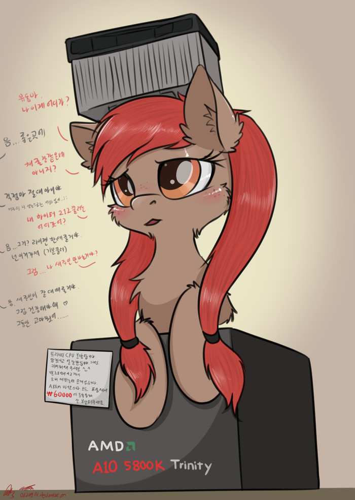   ,       My Little Pony, Original Character, , AMD