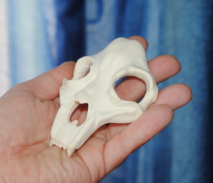 Skull and bone ... Everything is very simple, at first glance - Polymer clay, My, Longpost, Barrette, Scull