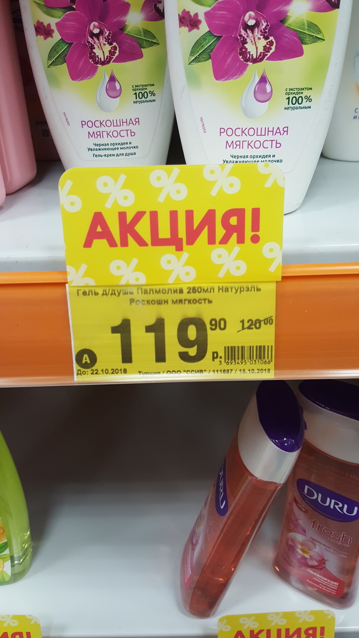 �������� �����