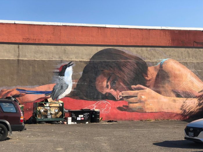 Jade Rivera, 2015 Portland, Oregon. - Graffiti, Girls, Birds