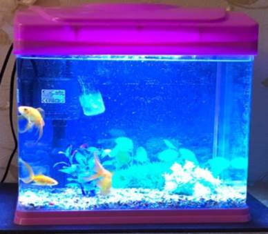 Аквариумисты Москвы, давайте меняться