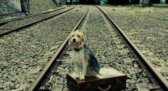 Once upon a time there was a friend - A train, Railway, Sadness, Dog, In contact with, Story, Longpost