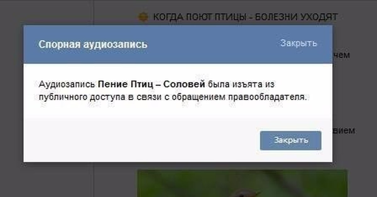 Эти ошибки это вам. Аудиозапись с голосами птиц. Вышел из беседы. Покинула чат.