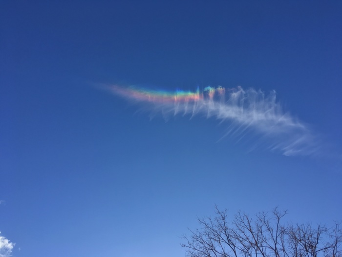 ������ �� ������