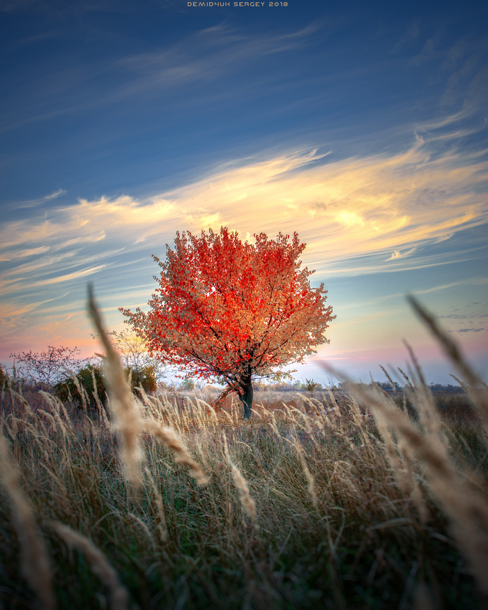 Autumn peace. Nikon D610 | Nikkor 14-24 2.8 - My, Landscape, The photo, Autumn, Peace, Nature, Krivoy Rog, Heat, Nikon D610