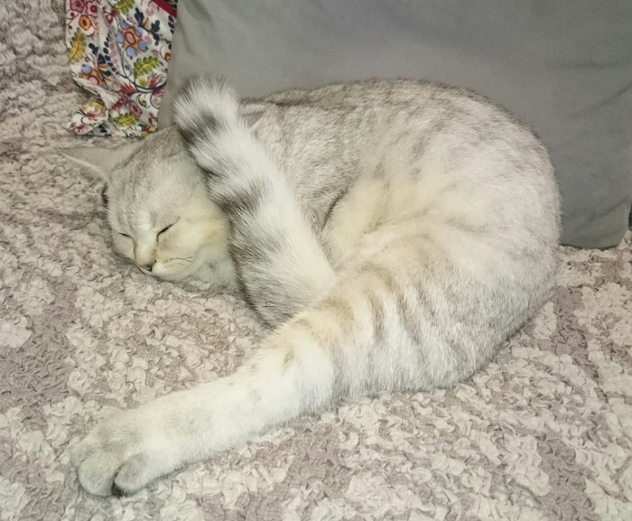      ,   ))) , , , 