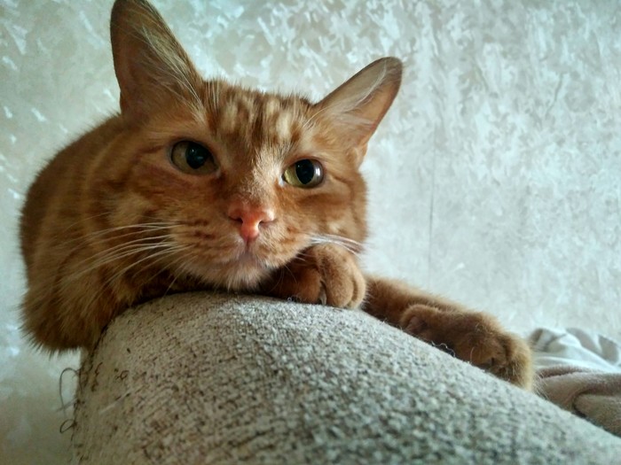 ������ ��� ����� �����, ���� � �������� �����?