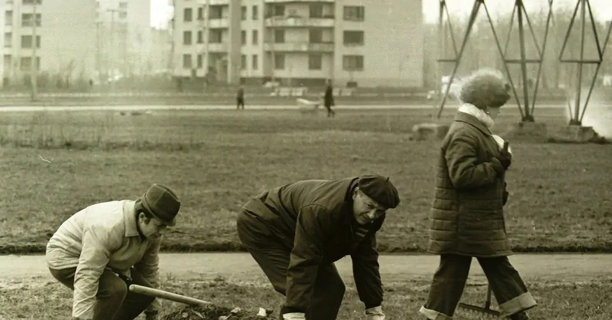 Исторический труд. Субботнике МГУ В СССР. Субботники и воскресники в СССР. Субботники в СССР школьники. Субботник в Советской школе.