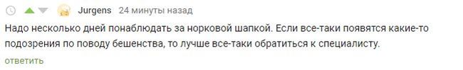 Ипохондрия 80 lvl - Бешенство, Ипохондрия, Юмор, Комментарии на Пикабу, Шапка