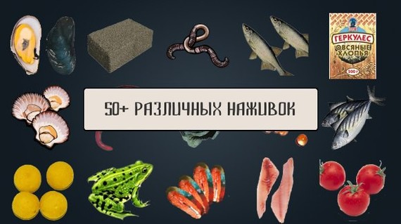 русская рыбалка на андроид телефон. Смотреть фото русская рыбалка на андроид телефон. Смотреть картинку русская рыбалка на андроид телефон. Картинка про русская рыбалка на андроид телефон. Фото русская рыбалка на андроид телефон