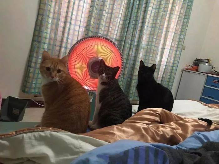 Сезонное фото