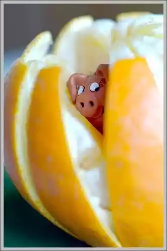 Pig in an orange - Piggy, Orange, Smile, Author's toy