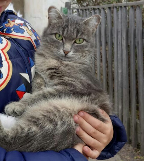 ������������