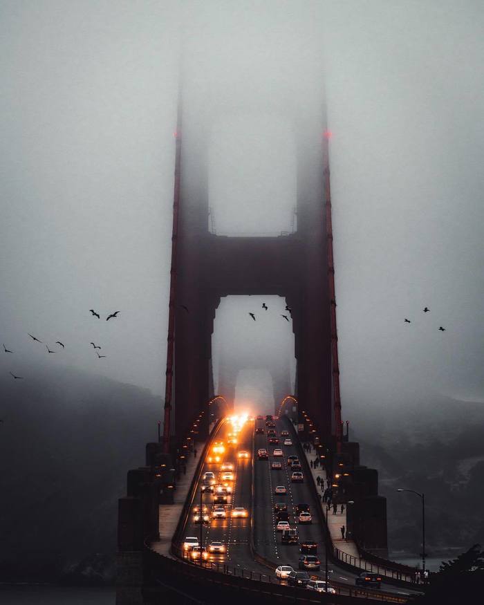 In the fog - Fog, Bridge, The photo, Golden Gate, San Francisco, Golden Gate Bridge