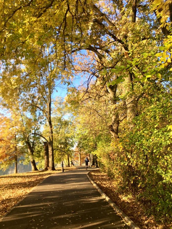 Осень в Бухаресте - Моё, Осень, Городские пейзажи, Бухарест, Румыния, Фотография, Длиннопост, Уличная фотография