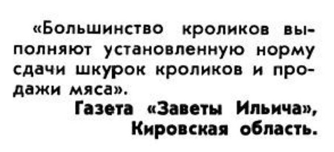 Тест: кролик Вы или волк? - Животноводство, Кролик, Перспектива