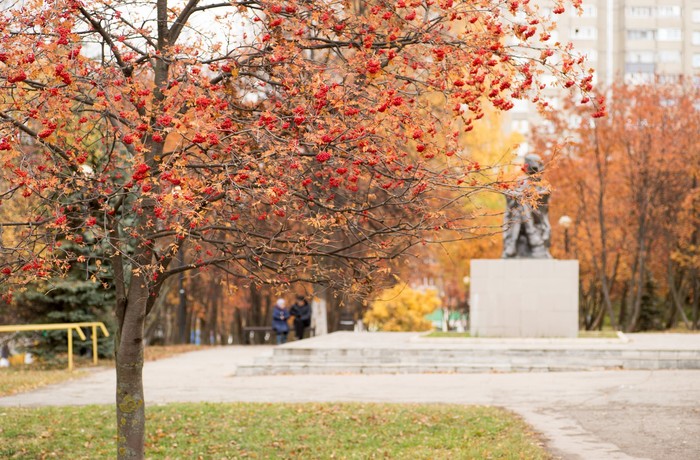 Autumn in Cheboksary - My, Autumn, Cheboksary, Chuvashia, Sony, Cityscapes, Longpost, Street photography