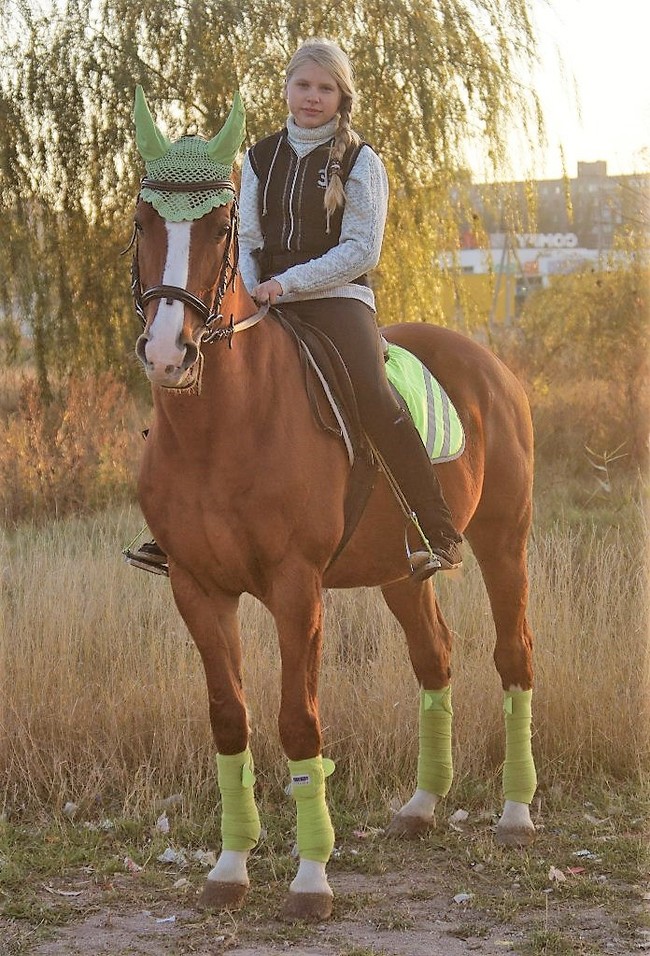 Photoshoot with a horse. Part II: Tips for the Photographer and the Model (from Equestrian) continued - My, Horseback Riding, Horses, On horseback, PHOTOSESSION, Animals, Landscape, Longpost