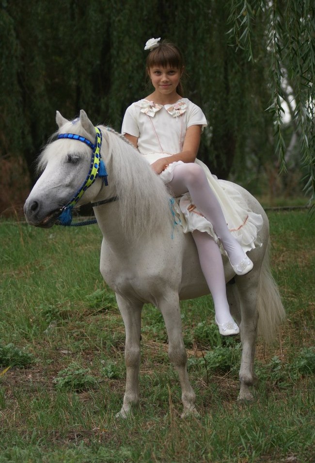 Photoshoot with a horse. Part II: Tips for the Photographer and the Model (from Equestrian) continued - My, Horseback Riding, Horses, On horseback, PHOTOSESSION, Animals, Landscape, Longpost