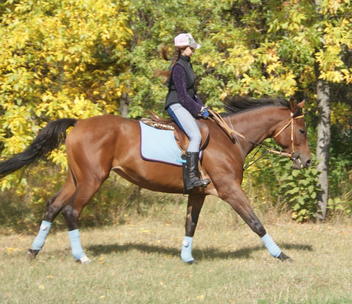 Photoshoot with a horse. Part II: Tips for the Photographer and the Model (from Equestrian) continued - My, Horseback Riding, Horses, On horseback, PHOTOSESSION, Animals, Landscape, Longpost