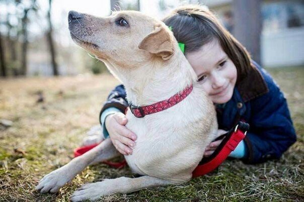 A dog named Luna, dying of hunger, was saved by people with kind and sympathetic hearts. - Dog, Dogs and people, Good league, Kindness, Help, Animals, The photo, Humanity, Longpost