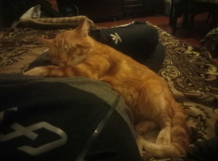 ������� �����