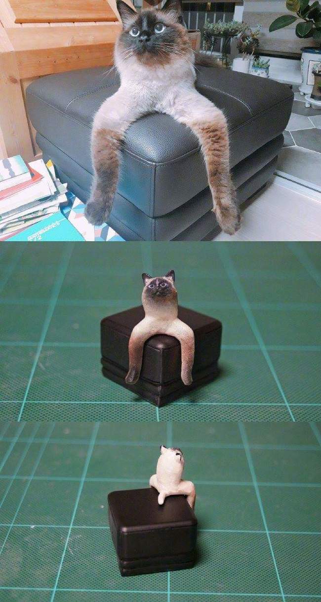 figurines of cats - The photo, cat, Figurine, Longpost, Meetissai, Figurines