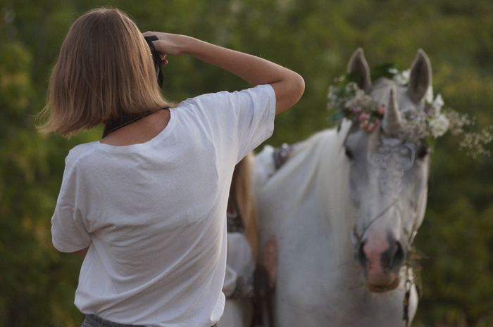 Organizational issues of the equestrian photo session. - My, Horses, Horses, PHOTOSESSION, Models, Photographer, Longpost