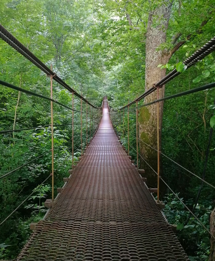 Suspension bridge - My, Suspension bridge, Nature, Mobile photography, Republic of Adygea