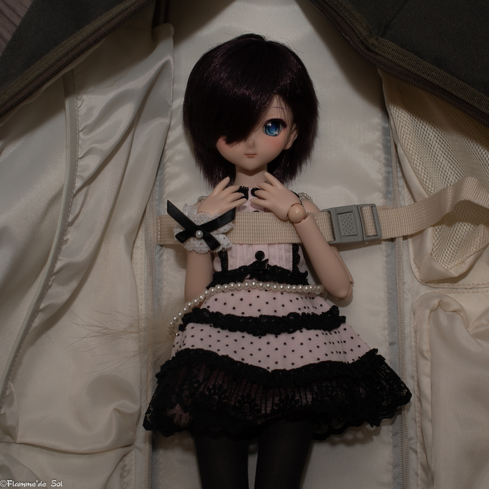 DDream - Day 30 - Jolt Dollfiedream,  , , , , 