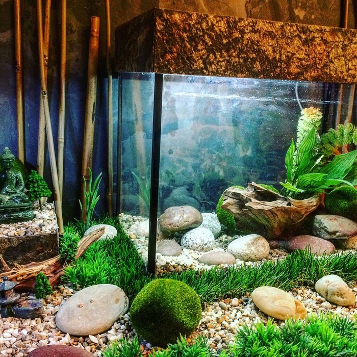 That's better? - With your own hands, My, Longpost, Aquarium, Design