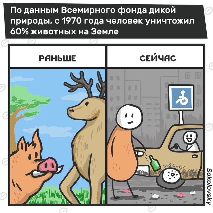 Victory - My, Animals, , Comics, news, Sokolovsky!, Destruction