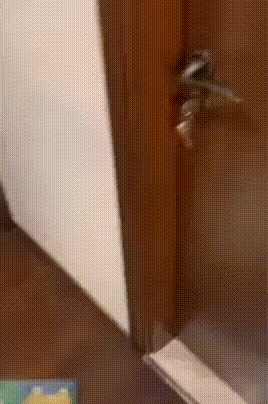 Кто тут шуршит?