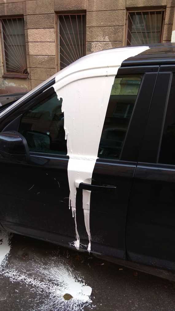 In St. Petersburg, some fat seagull shit on a car - Society, Russia, Saint Petersburg, Auto, Vandalism, Driver, Jeep, Longpost