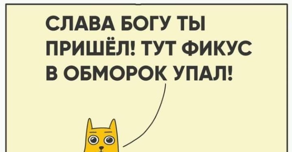 Здесь приходит. Слава Богу ты пришёл прикольные картинки. Слава Богу ты пришел тут фикус в обморок упал. Скорее тут фикус в обморок. Бэтмен Слава Богу ты пришел.