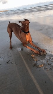 , !