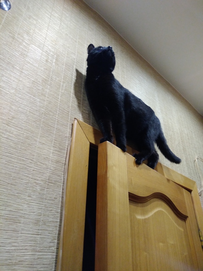 ���� �������� ����� ����� �����!