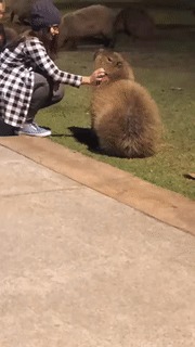   1 -  