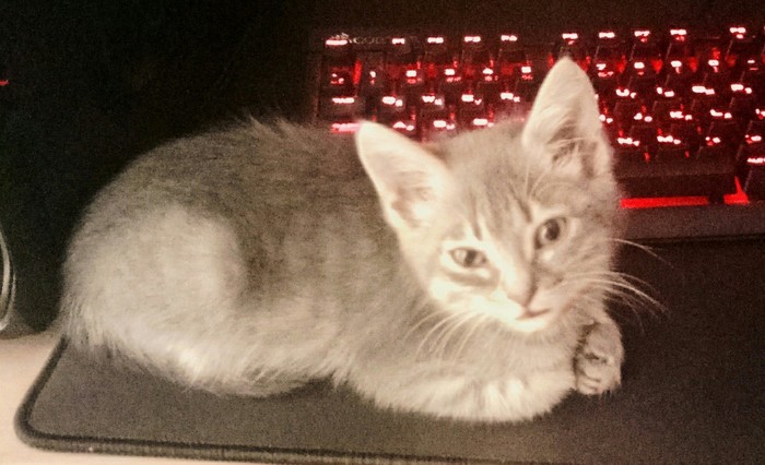 ������������� ���