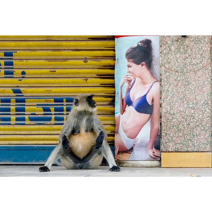 India by Prabha Jayesh , ,   , 