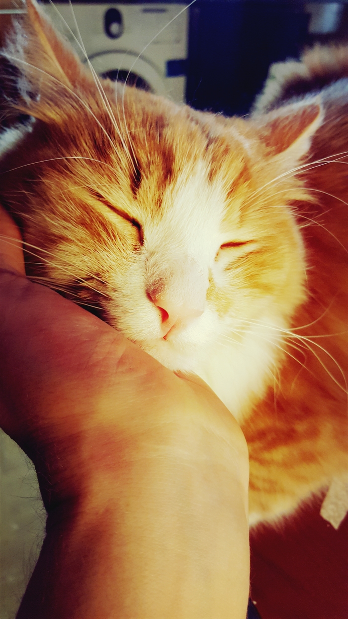 � ������ �����!