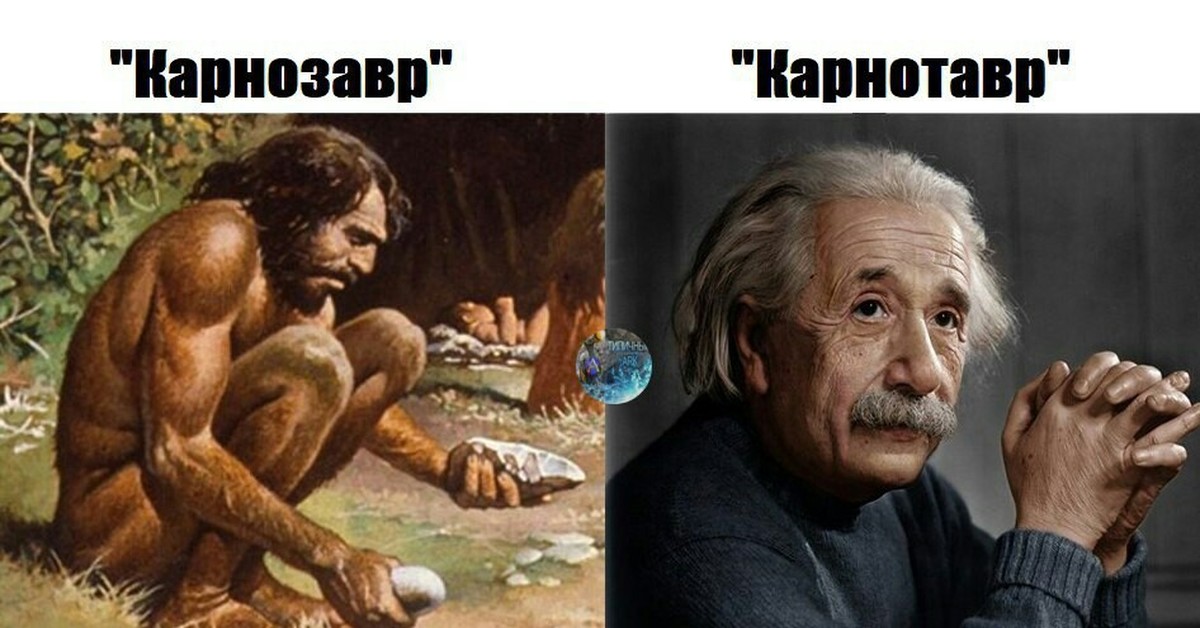 вдоль а не поперек бесконечное лето. бесконечное лето лена вдоль. поперек это как. потому что нельзя быть. говорить поперек.