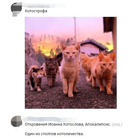 Catostrophe - cat, Catomafia, Screenshot, Humor