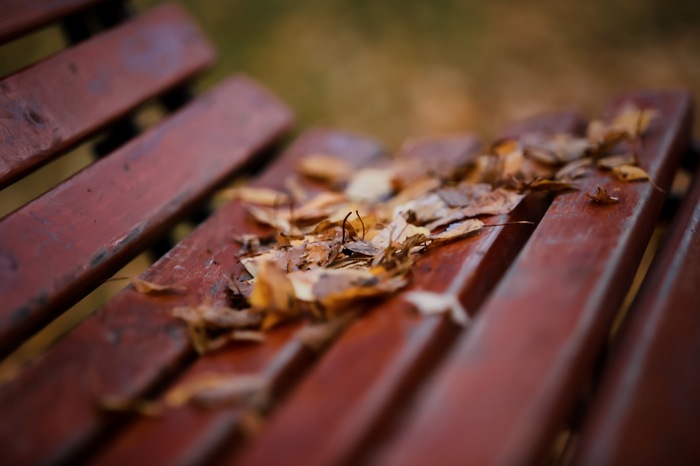 Autumn is not to blame for our sadness, but only in the soul the absence of spring ... - My, Autumn, Moscow, Russia, Sadness, Leaves, Longpost