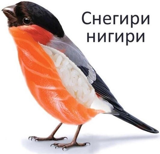 Bird) - , Little Bird, Humor, Food