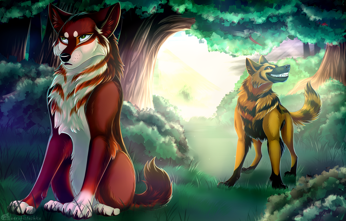 ����� ��....