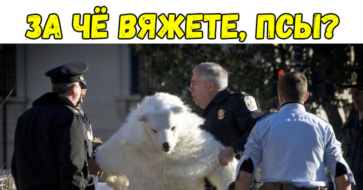 Светло серый фон. W908 sm белый базовый. Под белы. Большой белый фон. Серый градиент.