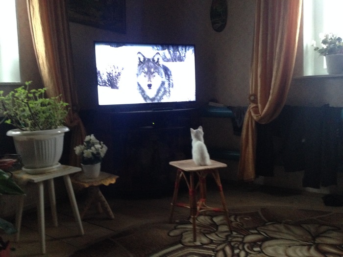 Лицом к лицу