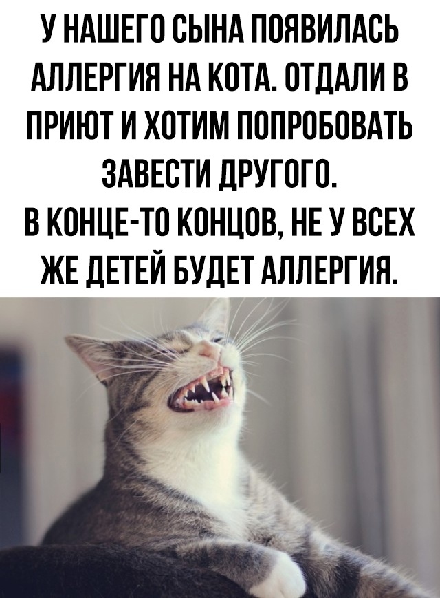 Allergy. - cat, Allergy, Children, Picture with text, Black humor