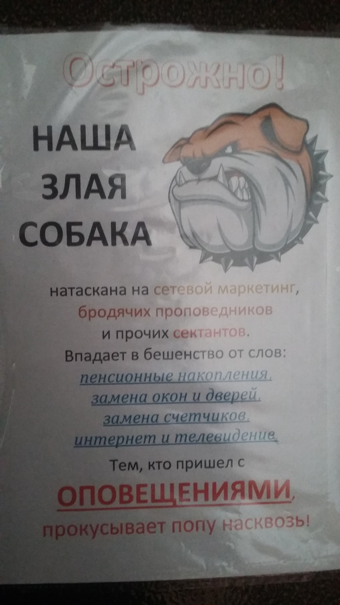 ���� ���� ������